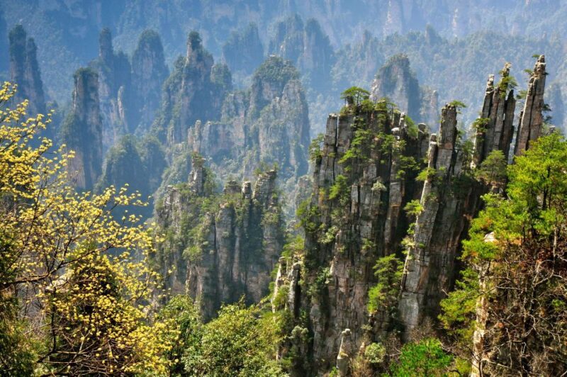 Zhangjiajie National Forest Park: Private Day Tour - Important Information