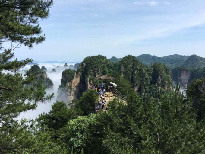 Zhangjiajie National Forest Park: Private Day Tour - Price and Duration