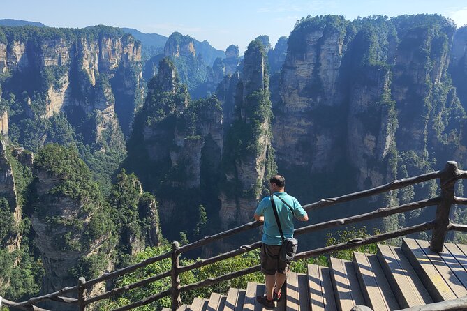 Zhangjiajie National Forest Park(Avatar) & Yellow Dragon Cave Private Day Tour - Expert Local Guidance
