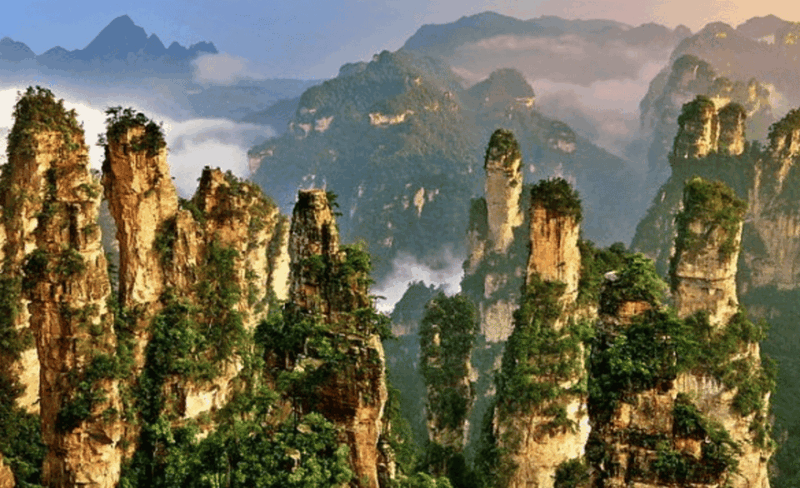 Zhangjiajie National Park Hallelujah Mountain Day Tour - Transportation and Services