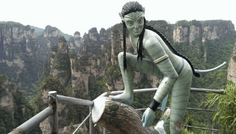 Zhangjiajie National Park Hallelujah Mountain Day Tour - Important Information