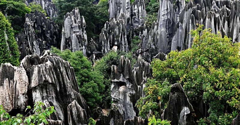Zhangjie National Park Grand Canyon MT Tianmen 2 Days Tour - Day 1 Itinerary