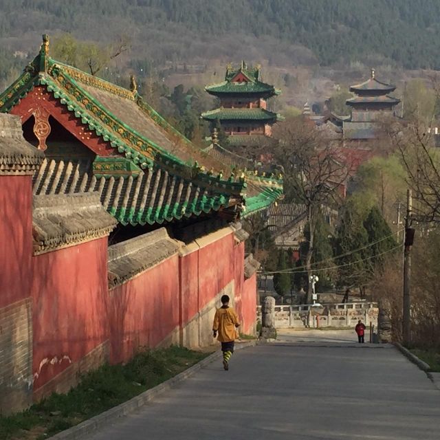 Zhengzhou: Private Tour to Shaolin Temple & Longmen Grottoes - Attractions