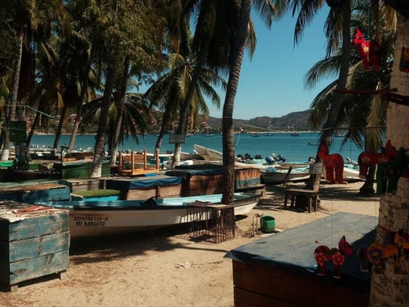 Zihuatanejo: City Sightseeing Tour - Key Points
