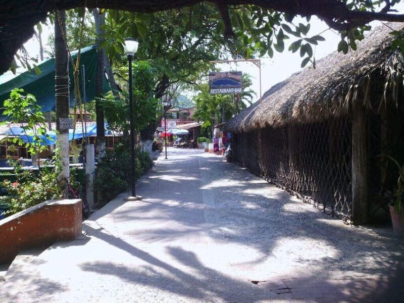 Zihuatanejo: City Sightseeing Tour - Booking Information