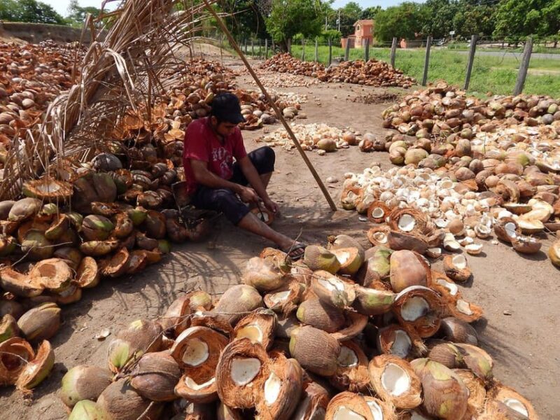 Zihuatanejo: Country Tour to Barra De Potosi - Key Points