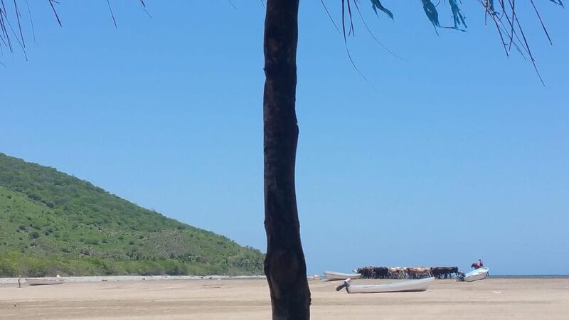 Zihuatanejo: Country Tour to Barra De Potosi - Experience Highlights