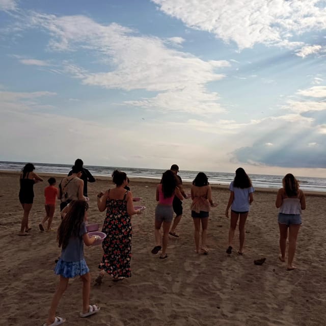 Zihuatanejo, Guerrero: Turtle Release Experience - Key Points