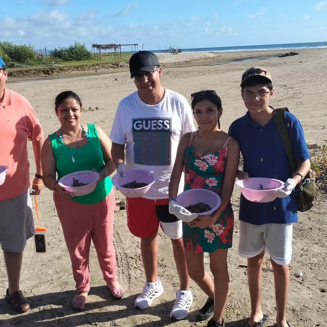 Zihuatanejo, Guerrero: Turtle Release Experience - Logistics and Details