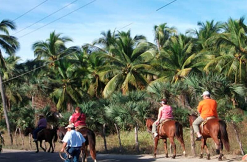 Zihuatanejo: Horseback Riding on the Beach - Transportation and Logistics