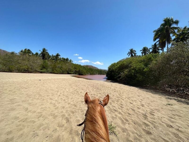 Zihuatanejo: Horseback Riding Tour With Playa Larga Beach - Recap