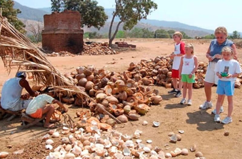 Zihuatanejo Ixtapa: City Tour - Tour Overview
