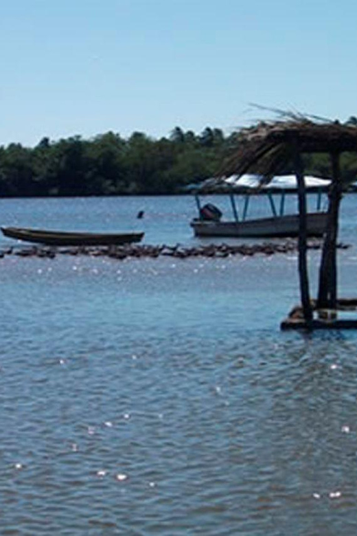 Zihuatanejo Ixtapa: Countryside Tour - Experience Highlights