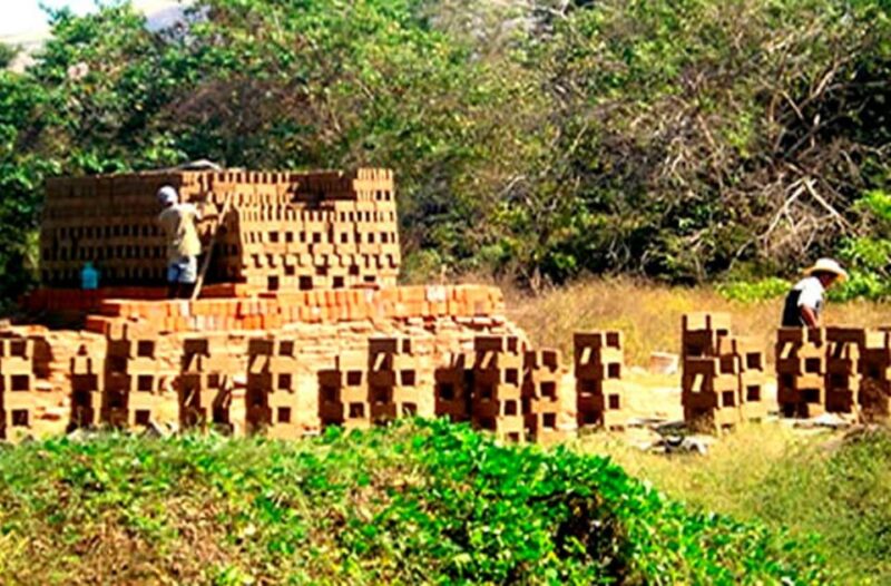 Zihuatanejo Ixtapa: Countryside Tour - Coconut Plantation Visit