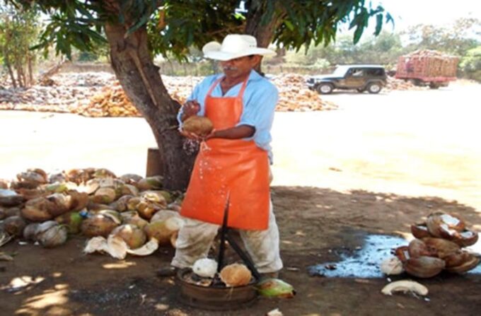 Zihuatanejo Ixtapa: Countryside Tour - Frequently Asked Questions