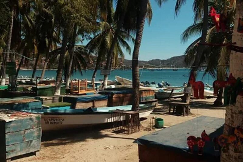Zihuatanejo: Ixtapa Island Tour - Key Points