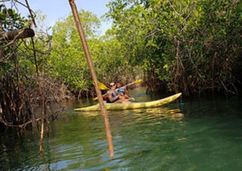 Zihuatanejo: Kayak Tour - Key Points
