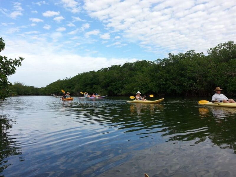 Zihuatanejo: Kayak Tour - Booking Information