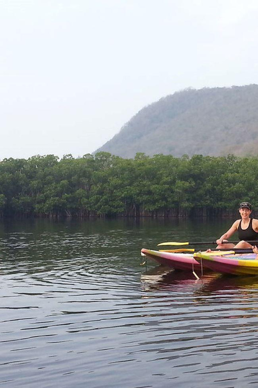 Zihuatanejo: Kayak Tour - Experience Highlights