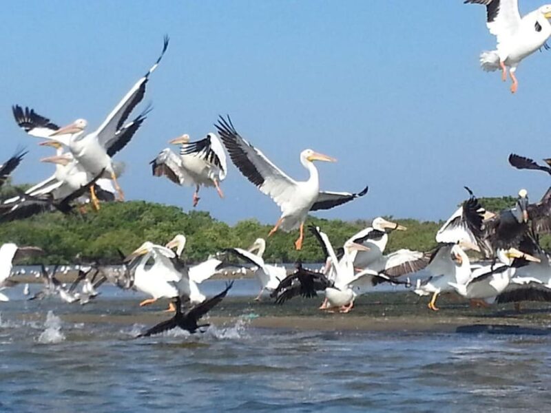 Zihuatanejo: Kayak Tour - Frequently Asked Questions