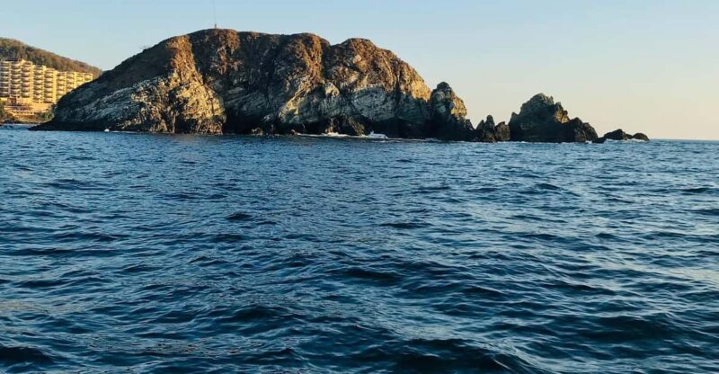 Zihuatanejo: Marine Life Observation Tour - Key Points