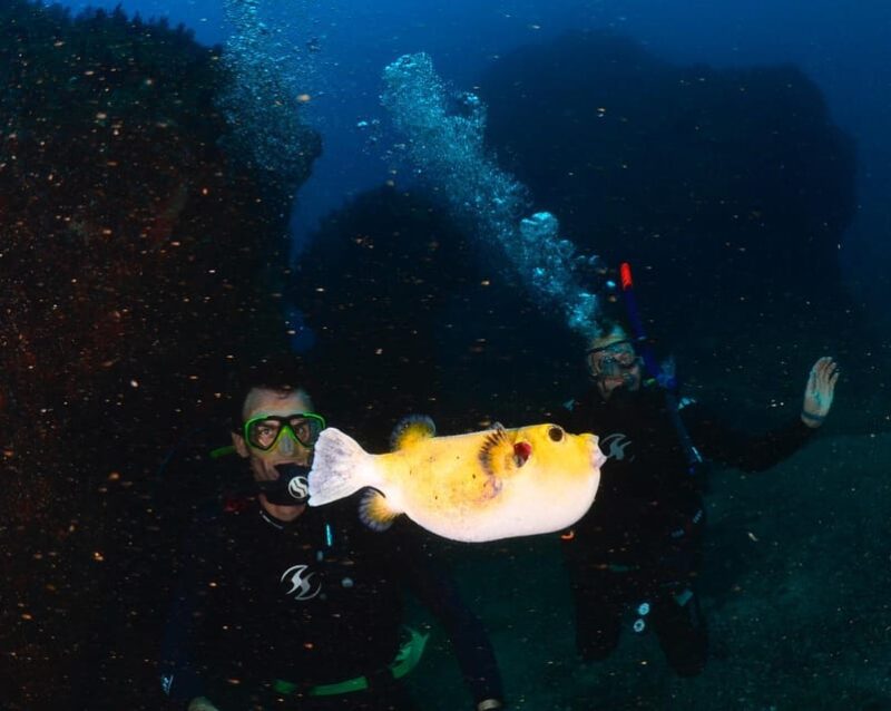 Zihuatanejo: Moonlit Dive at Las Gatas - Zihuatanejos Underwater Wonders