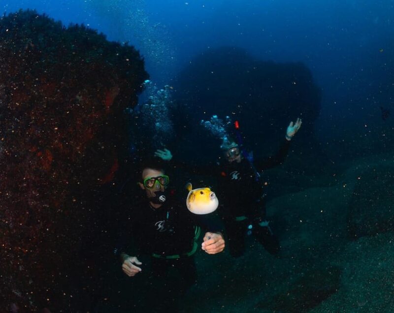 Zihuatanejo: Moonlit Dive at Las Gatas - Encounter Elusive Octopuses