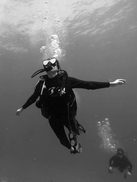Zihuatanejo: Moonlit Dive at Las Gatas - Frequently Asked Questions