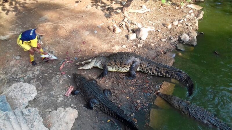 Zihuatanejo: Snorkeling Trip to Ixtapa Island With Lunch - Booking and Cancellation