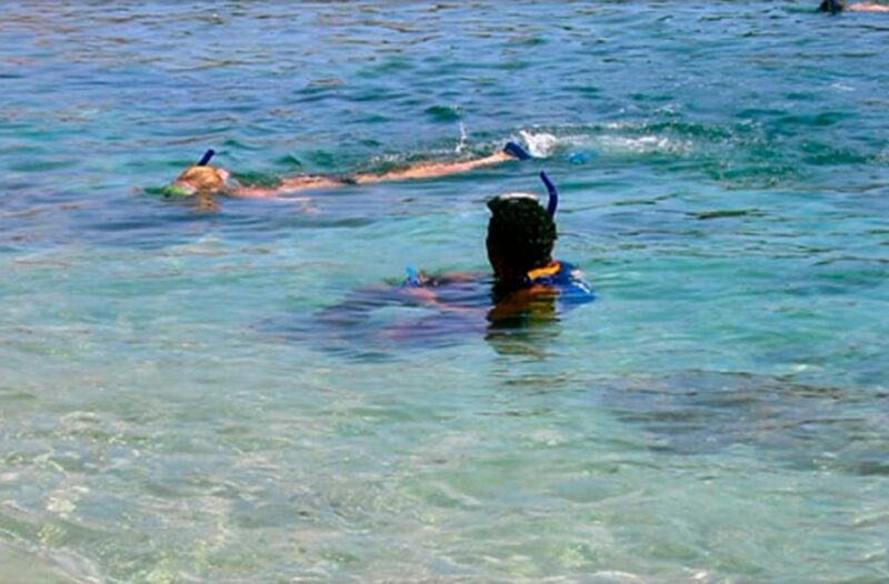 Zihuatanejo: Snorkeling Trip to Ixtapa Island With Lunch - Customer Feedback