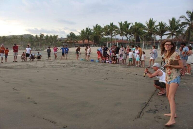 Zihuatanejo: Troncones,Manzanillo Bayband Majahua Beach Tour - Key Points