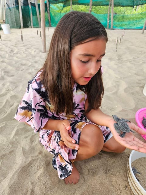 Zihuatanejo: Turtle Release Experience at Playa Blanca - Tour Description