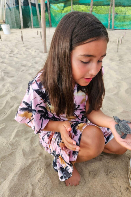 Zihuatanejo: Turtle Release Experience at Playa Blanca - Memorable Moments