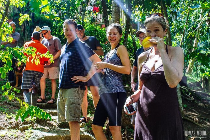 Zimbalis Rasta Tour Lunch - Inclusions and Requirements