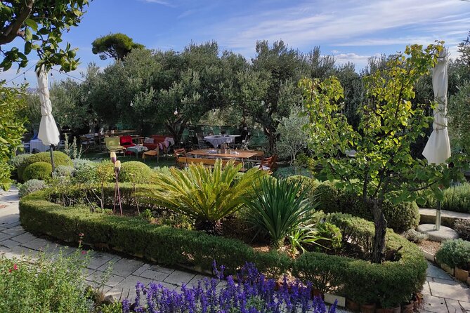 Zinfandel Wine Tasting & Storytelling With Dalmatian Food - Tasting of Four Zinfandel Wines