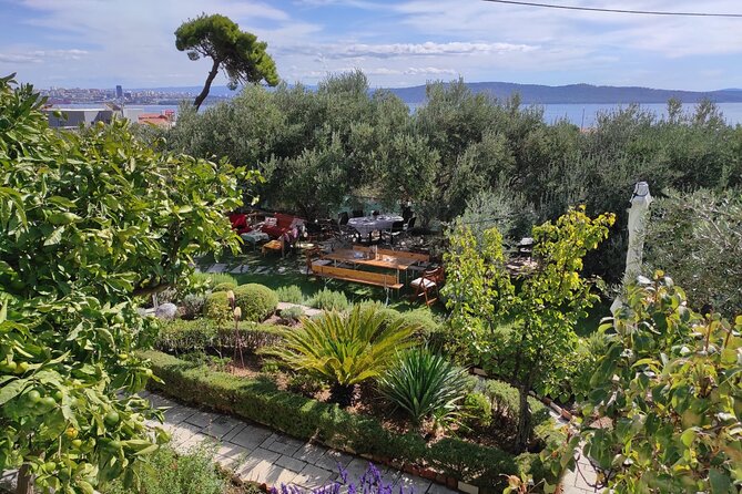 Zinfandel Wine Tasting & Storytelling With Dalmatian Food - Private Transportation Provided
