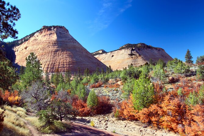 Zion and Bryce Canyon National Parks Self-Driving Bundle Tour - Highlights of Zion National Park