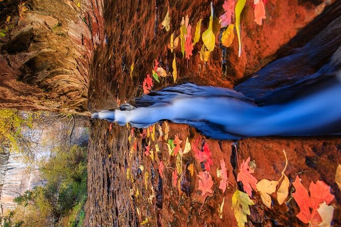 Zion, Bryce, & Antelope Canyon Adventure: Small Group 3-Day Tour - Discover Coral Pink Sand Dunes