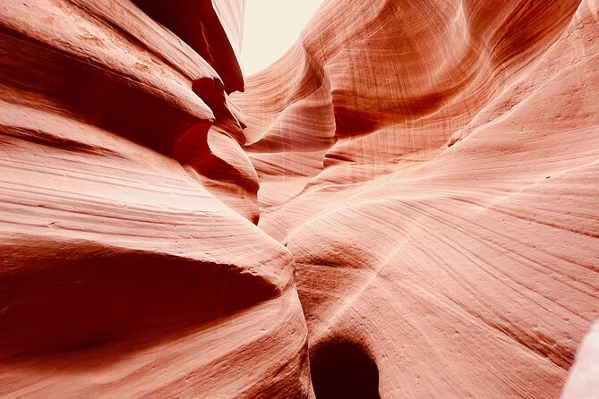 Zion Bryce Canyon and Lower Antelope Canyon 2 Day Tour From LV - Zion National Park Exploration