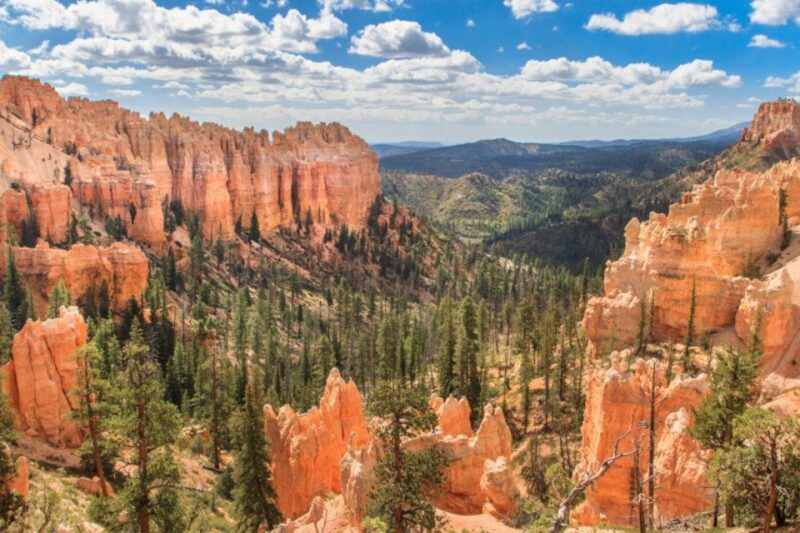 Zion & Bryce Canyon National Parks Self-Driving Bundle Tour - What to Bring and Know
