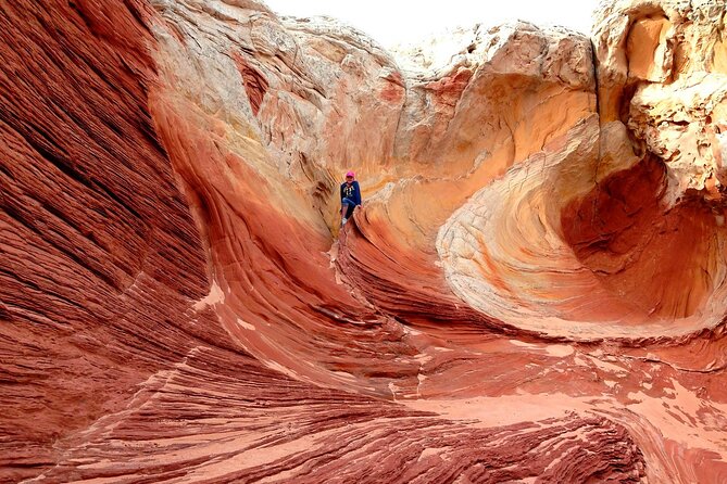 Zion, Bryce Canyon & Wave Valley Arizona: Small Group 4-Day Tour - Pricing Information