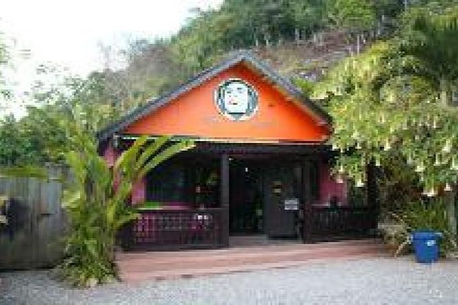 Zion Bus Line- Bob Marley Cultural Experience From Ocho Rios - Transportation and Amenities