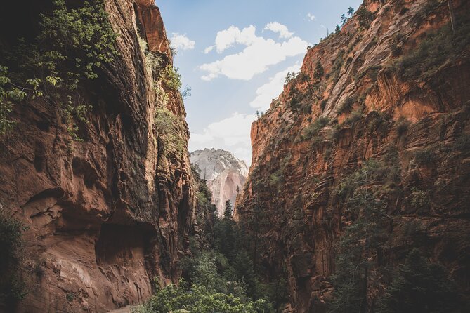 Zion Full Day Small Group Tour With Narrows - Exceptional Customer Ratings and Reviews