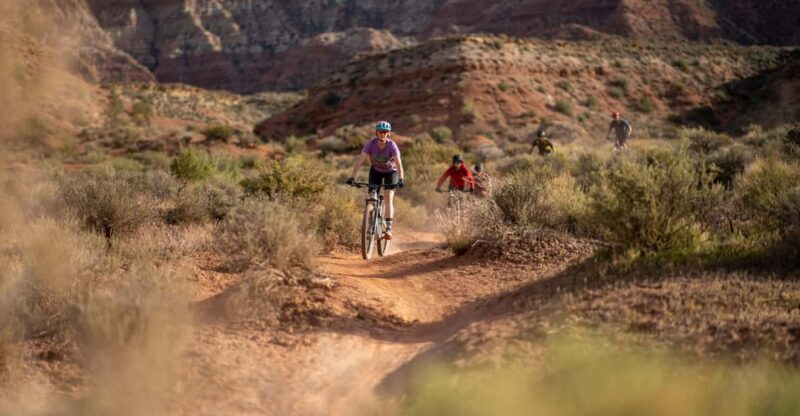 Zion: Guided Half Day Mountain Bike Tour - Experience Highlights