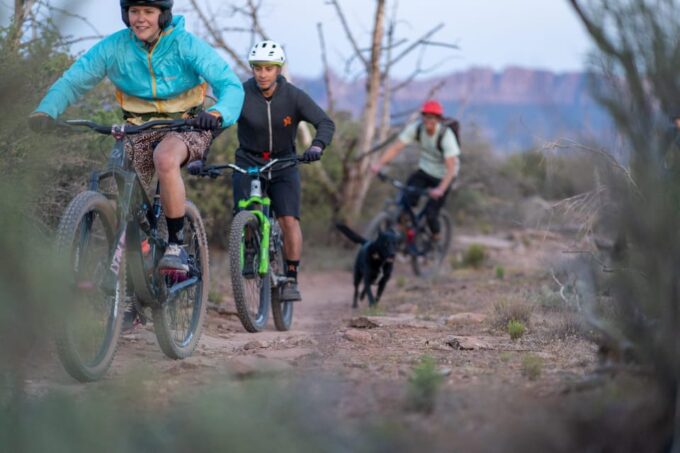 Zion: Guided Half Day Mountain Bike Tour - Bike Rental and Gear