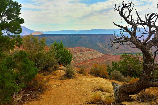 Zion Jeep Tour Premium Package - Afternoon Tour - Explore Zions Landscapes