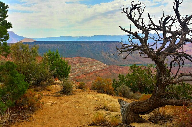 Zion Jeep Tour Premium Package - Morning Tour - Tour Details
