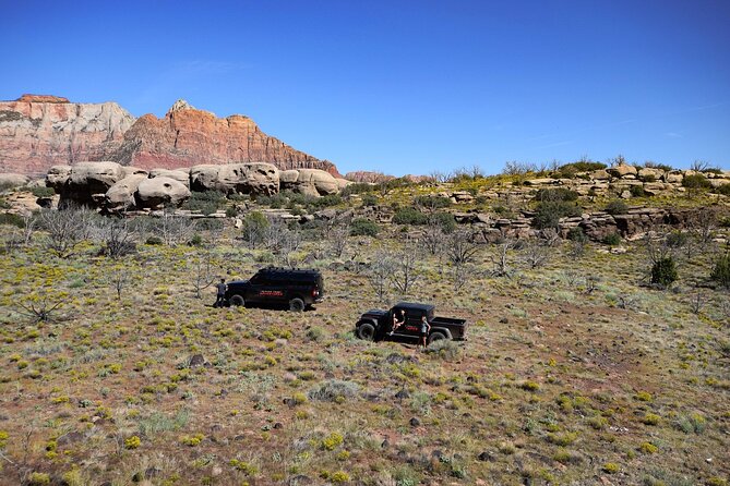 Zion Jeep Tour With Exclusive Access to Zion Cliffside Point - Reviewing the Tour Experience