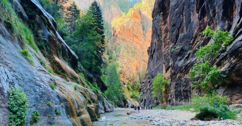 Zion Narrows - Guided Hike and Picnic - Itinerary Details