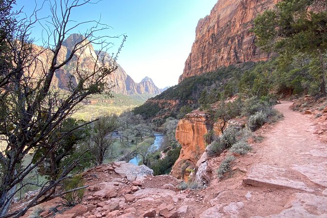 Zion National Park: Private Guided Hike & Picnic - Gourmet Picnic Delights